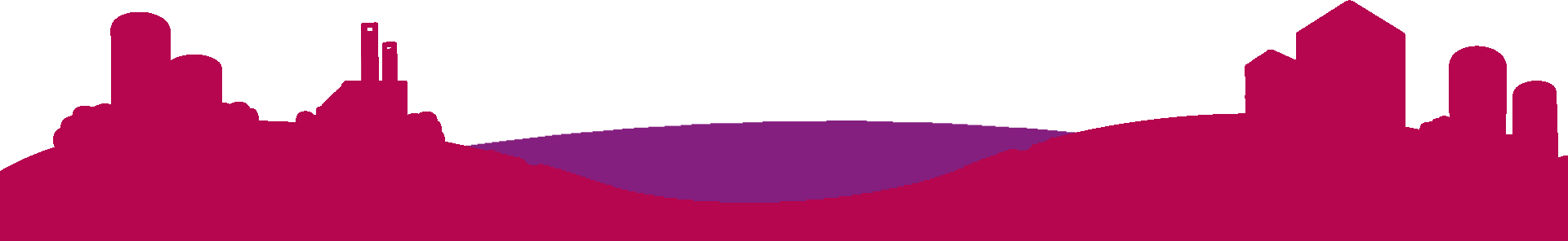 bg-dp